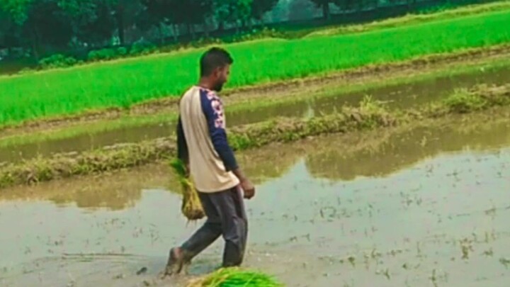জীবনের চলার পথে বাবা ছায়াটা প্রয়োজন