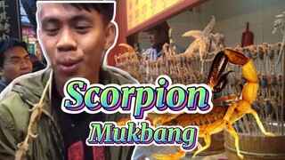 EXOTIC FOODS IN WANGFUJING, BEIJING | #exoticfoods #scorpions