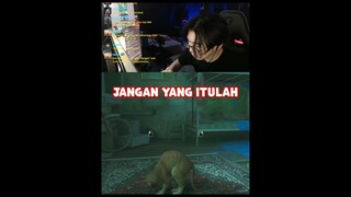 Rahasia kucing oren