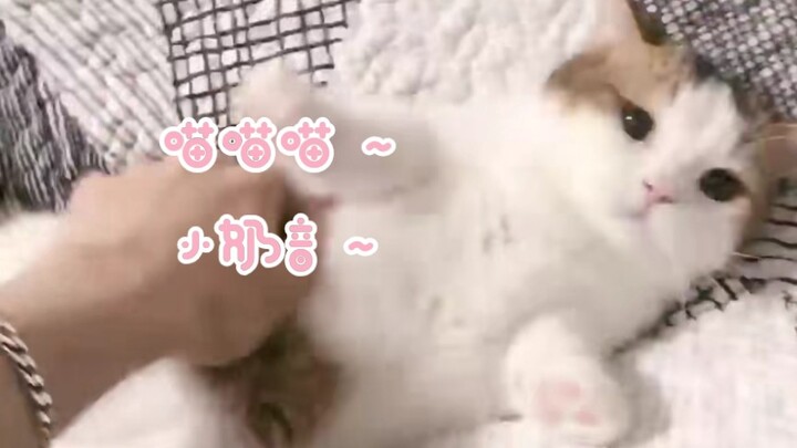 [Help] Bangbang’s little baby voice～～