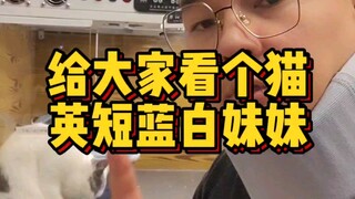 Check out the cat care guide—tried and tested to be effective