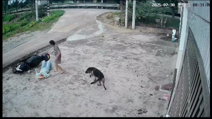 Istri yang dinikahi agak konyol, anjing yang dipelihara juga agak konyol
