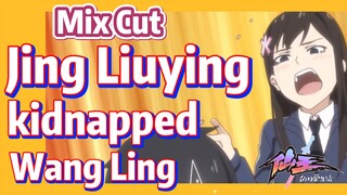 [The daily life of the fairy king]  Mix cut | Jing Liuying kidnapped Wang Ling