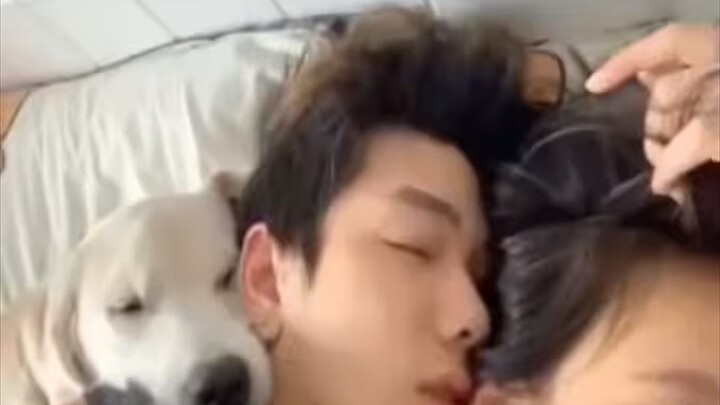 Con chó này… khiến tôi cười cả ngày lẫn đêm!