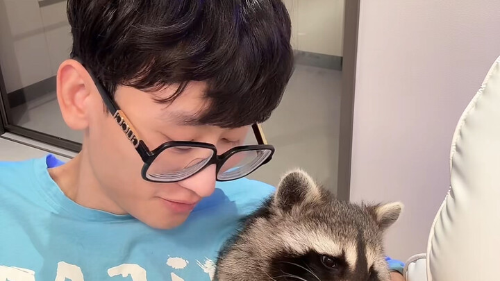 I hate raccoons that totally ignore you.