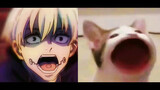 [Ketika gulungan anjing bertemu dengan kucing bobo] Sama persis, oke! ! !