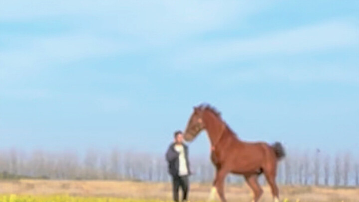 【My Story with Carrots】The latest video is now available—come check it out!