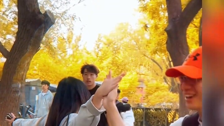 "ชีวิตธรรมดาจะได้รับการเยียวยาด้วยช่วงเวลาแห่งความเมตตาและความอบอุ่นเสมอ"