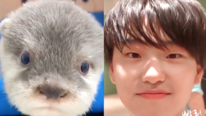 คนแรกที่คิดค้นหุ่นสัตว์แบบนี้ขึ้นมาคงเป็นอัจฉริยะเลยล่ะ!