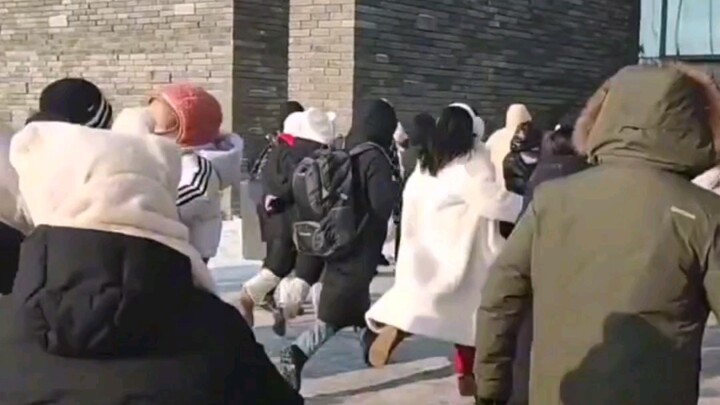 Southern “little potatoes” have supercharged their fighting power! Harbin’s airport, high-speed rail