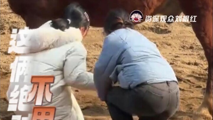 Guigui, kamu juga bakal pakai jaket bulu angsa putih buat jadi pijakan buat aku, kan?