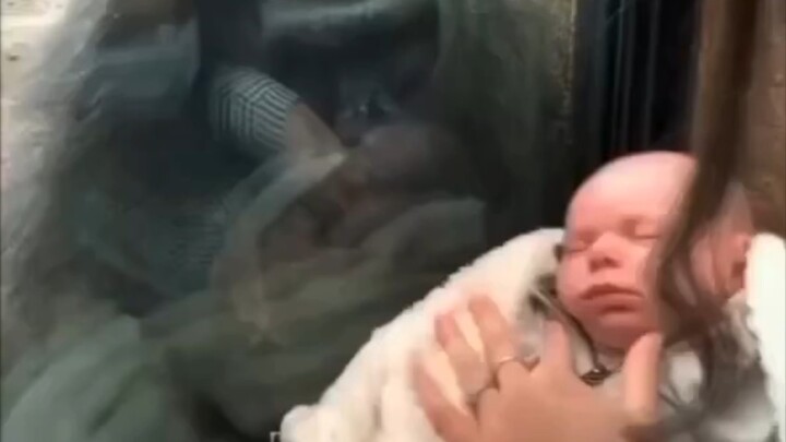 A baby? I’ve got one too!