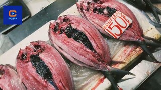 Manila biggest Fish Market Philippines Vlog