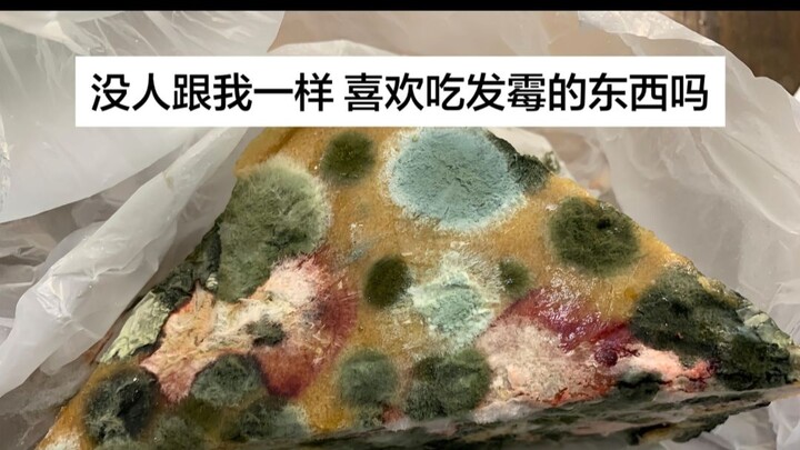 [Homo Sapiens TV] Is there anyone else who loves eating moldy food as much as I do?