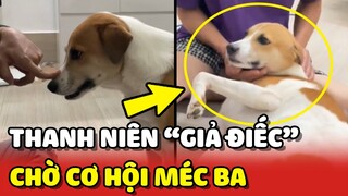 Chú chó Nâu trở lại với pha GIẢ ĐIẾC khi bị bắt nạt, chờ cơ hội MÉC BA 😂 | Yêu Lu