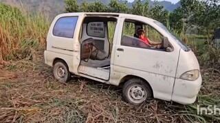 Thomas & Friends x CC - The Lego Movie 9: The Smash Panda (2027) Pedal Pumps V15