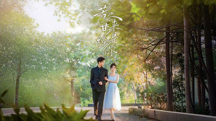 Bitterness Ends, Sweetness Begins: It's You | After the Bitter Comes the Sweet, the Predestined One