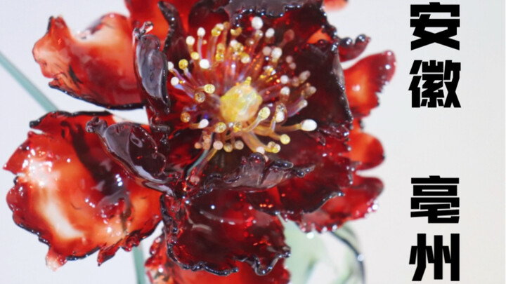 Turning Every Chinese City into a Flower—Bozhou
