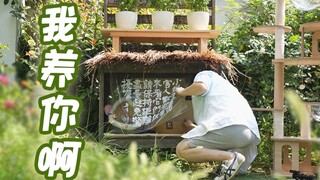 Halaman rumahku kembali dikerumuni orang!