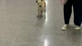 Kakak senior universitas meminta makan di asrama perempuan, lalu ditegur langsung oleh adik kelas pe