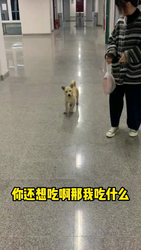 A senior male student at university asked for food in the girls' dormitory and was scolded face-to-f