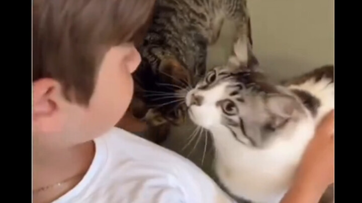 A boy returns home after a 20-day break, and this is how his cat reacts 🥹