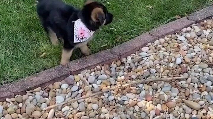 Pengungkapan besar masa kecil perwira Xiao De, penuh dengan kontras! Sekilas saja sudah terlihat jel