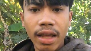 ຜີຫົວໂຫລດຜົນຢາວ
