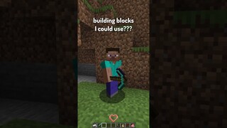 Day in the Life of a Minecraft Builder