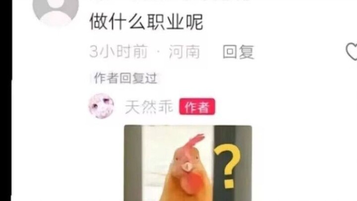 “What kind of job do you have?” 🐔 — Internet Memes Compilation 205