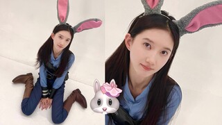 抓 兔 简 章