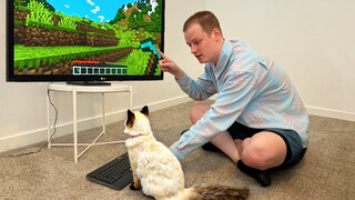 I Taught My Cat to Play Minecraft