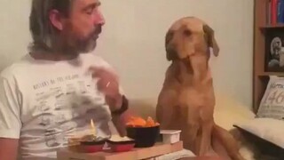 我不吃，不稀罕