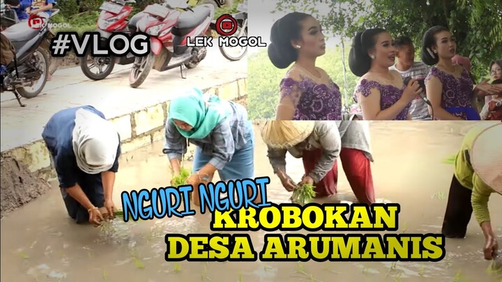 NGURI NGURI KROBOKAN DESA ARUMANIS