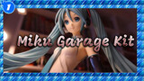 Have You Ever Seen A 42cm Miku Garage Kit?_1