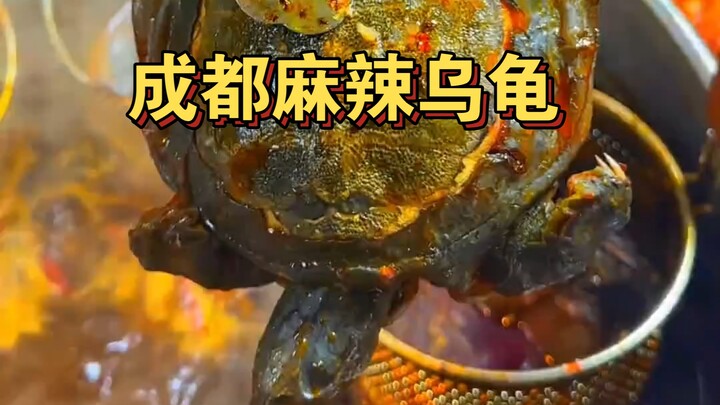 Spicy turtles at the Chengdu night market—only 35 yuan each, so delicious!