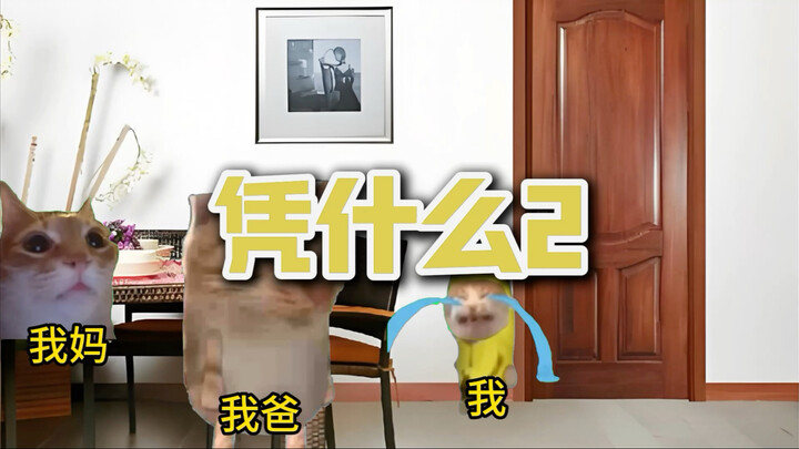 凭什么你有的我没有 2