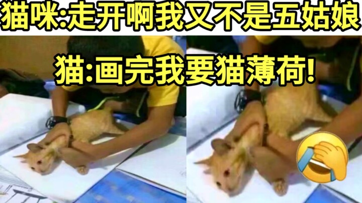 Pulang ke rumah, lihat adik laki-laki sedang menekan-nekan kucing, nggak tahu lagi ngapain. Setelah 