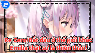 Re:Zero/Bắt đầu ở thế giới khác|Emilia thật sự là thiên thần!_2