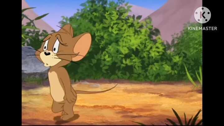 cartoon comedy video,rat v/s  cat  😂🤣