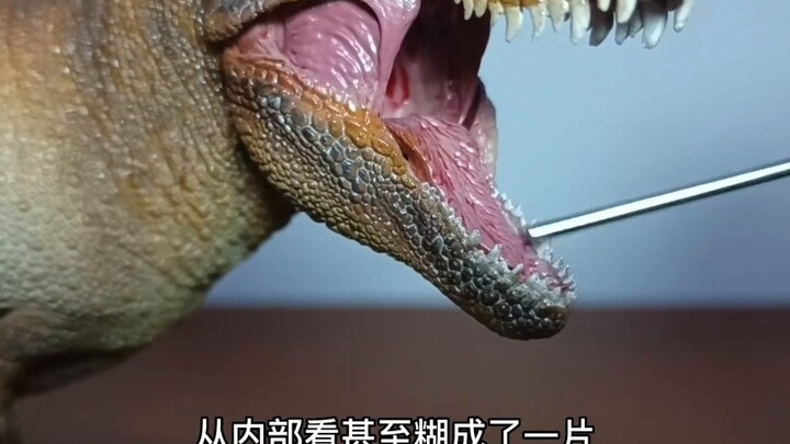 Which scientific tyrannosaurus is the best? pnso rebor Mesozoic beast scientific tyrannosaurus model