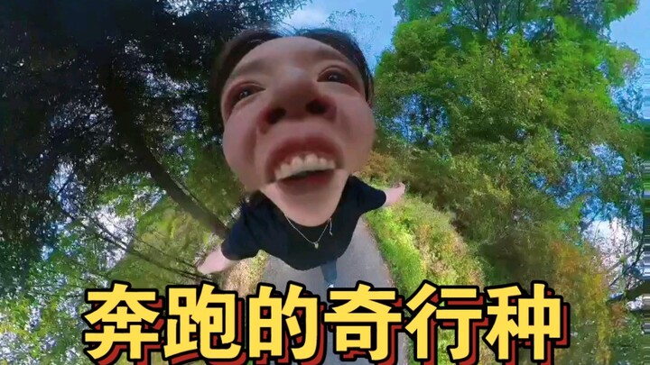 奔跑的奇行种…谁告诉你全景相机这么用的？