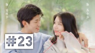 My Lovely Matchmaker Sub indo eps #23