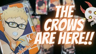 Arrived Due To Popular Demand!!!! | ASMR Anime Unboxing Haikyuu Badges Collection