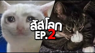 สัสโลก ep 2 พากย์นรก ฮาเกต Pet Talk