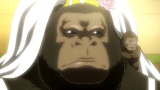 [January/New Animation] Gintama THE SEMI-FINAL Shinsengumi Chapter PV [MCE Chinese Translation Group