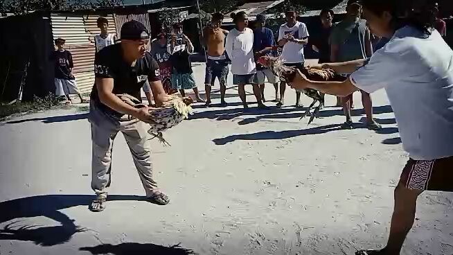 native lang ang baon