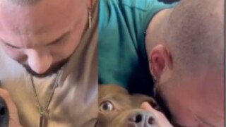 "วางกระดูกลูกสุนัขไว้!"