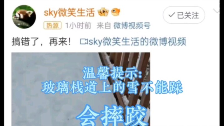 CV Thiên Không ‖ “Ngã” lên hot search rồi à? Hahaha, để chúng tớ ngắm nhìn thiên không xinh xắn kêu 
