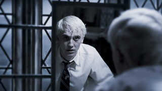【Malfoy】Severe Abuse｜You are the savior of light, I am the dark Death Eater